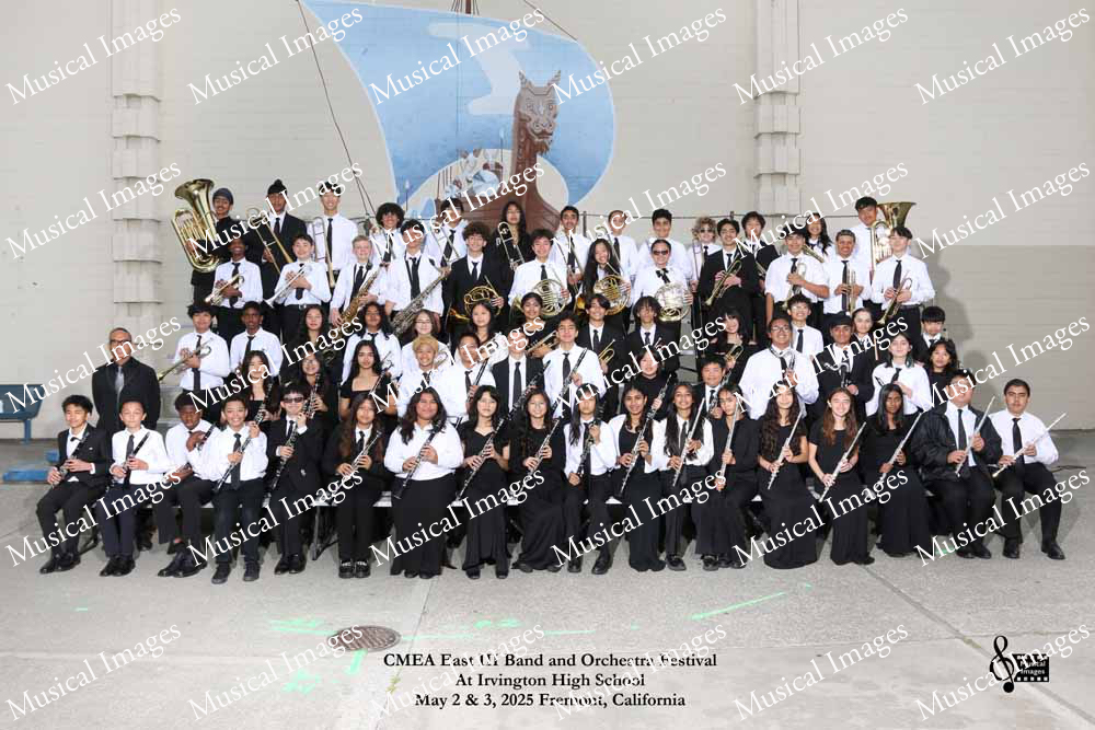 Musical Images